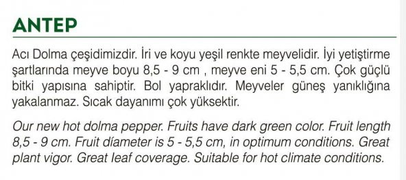ATA TOHUMU YÖRESEL ACI DOLMA BİBER ANTEP 100 ADET TOHUM - 2