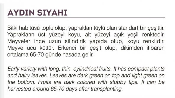 ATA TOHUMU YÖRESEL PATLICAN AYDIN SİYAHI 100 ADET TOHUM - 2