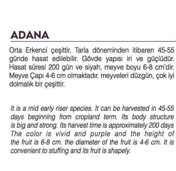 ATA TOHUMU YÖRESEL DOĞAL TOPAK PATLICAN ADANA 100 AD TOHUM - Resim 2