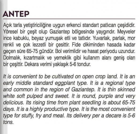 ATA TOHUMU YÖRESEL DOĞAL TOPAK PATLICAN ANTEP 100 AD TOHUM - 2