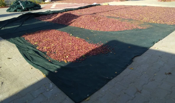 Sergi File %75 Gölgelik 8x10mt 80 Metrekare Bahçe Örtüsü Filesi - 6