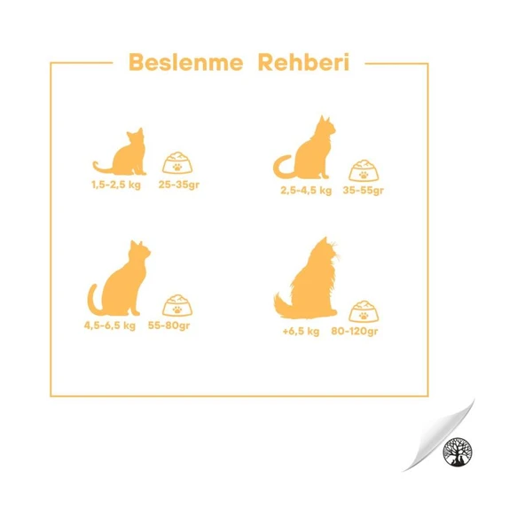Pro Wonders Tavuklu Yetişkin Premium Kedi Maması 15 kg - 4