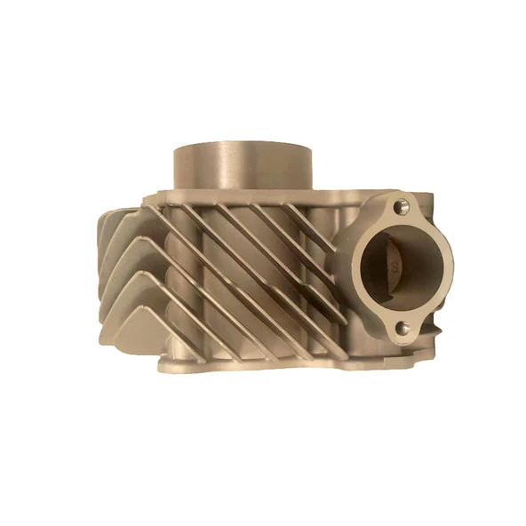 Algaride  MOTORSİKLET HONDA FIZZY SİLİNDİR TKM