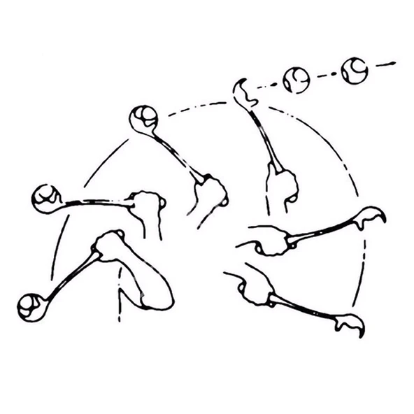 Köpek Top Atma Oyuncağı, Tenis Topu Fırlatıcı - Resim 3