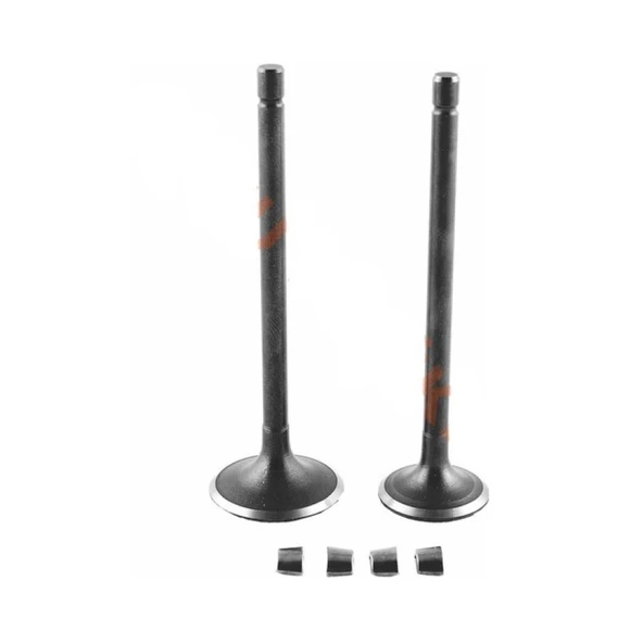 Algaride Motorsiklet CG 150  modellere uygun DQ Sibop 51506 - 4