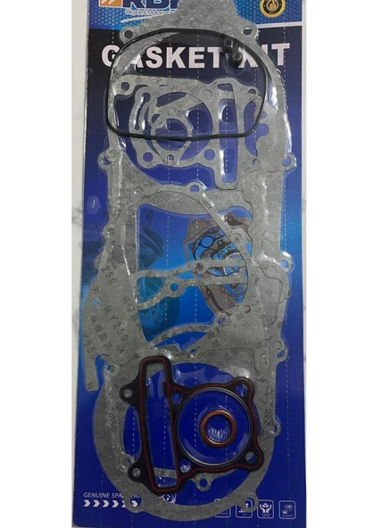 Algaride  Motorsiklet Scooter 150 GY6 150 Komple Conta Takımı RBK SCT 150/ GY6 150 - 2