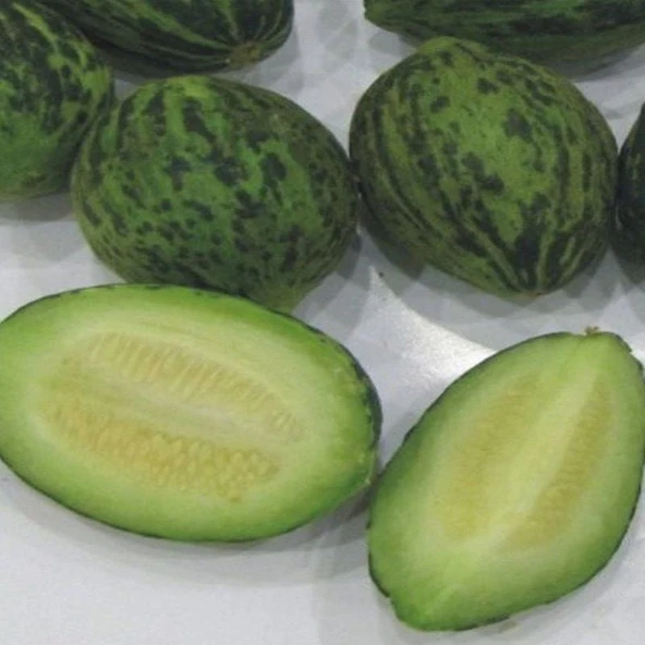 Geleneksel Meriç Turşuluk Kavun Tohumu (20 Tohum) ürün görseli