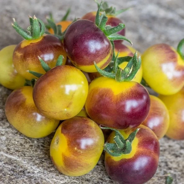 Alacalı Antho Weib Domates Tohumu (15 Tohum) ürün görseli 1