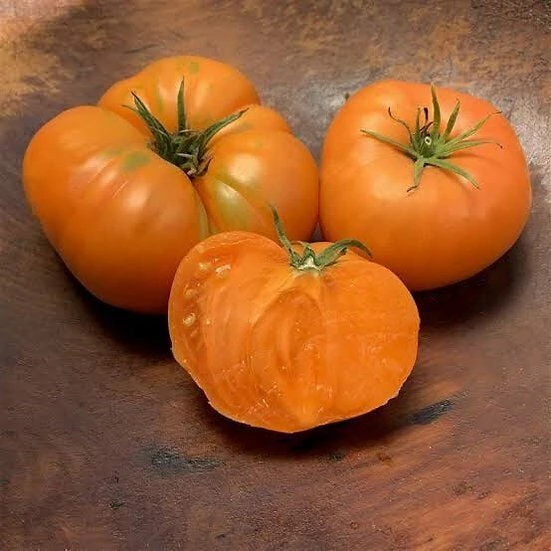 İri Meyveli Etli Dr.Wyche's Yellow Domates Tohumu (15 Tohum)