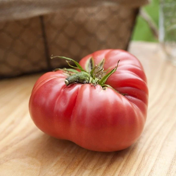 1884 Etli Dilimli Domates Tohumu (15 Tohum) ürün görseli 1