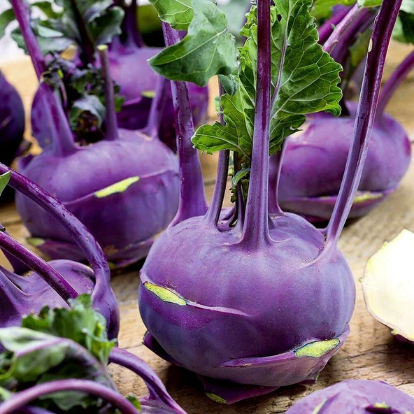 Doğal  Mor Kohlrabi (Alabaş) Tohumu (15 Tohum) ürün görseli