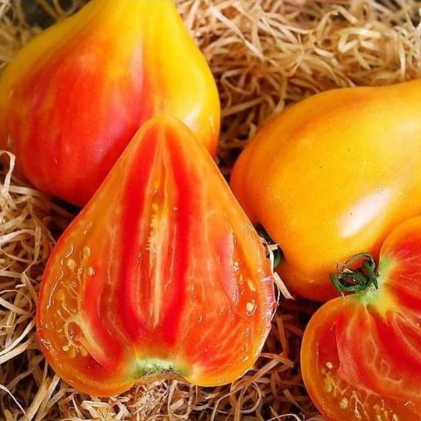 Striped Oxheart Fire Kalp Şeklinde Etli Beef Domates Tohumu (10 Tohum) ürün görseli 1