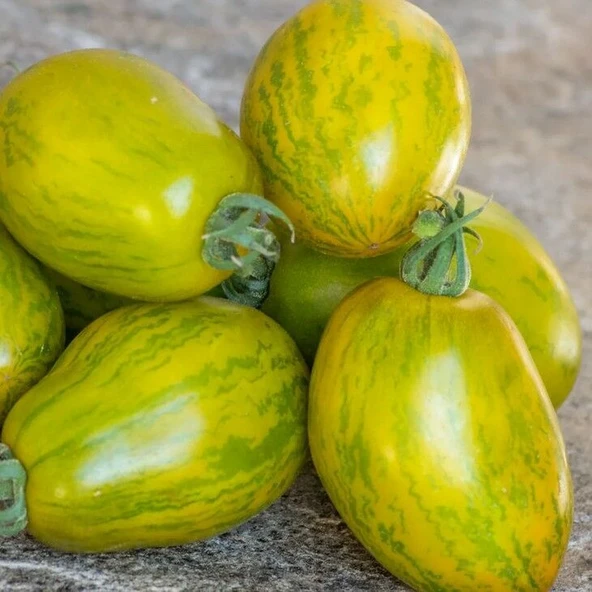 Alacalı Dwarf Saucy Mary Yeşil Sarı Etli Domates Tohumu (15 Tohum) ürün görseli 1