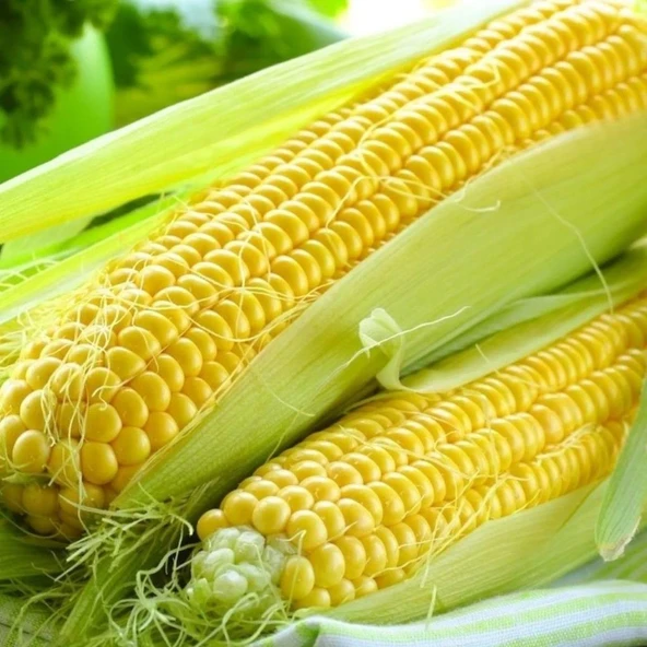 Doğal Haşlamalık Süt Mısırı Tohumu (20 Tohum)