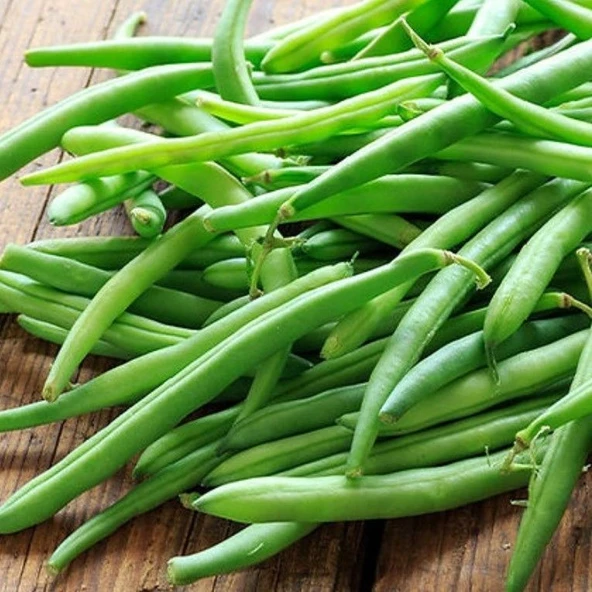 Doğal Geneleksel Kızılcahamam Sırık Taze Fasulye Tohumu (10 Tohum) ürün görseli