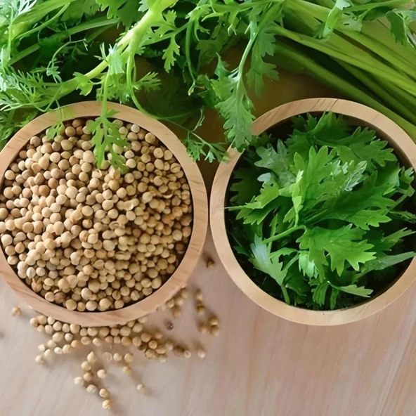 Doğal Geniş Yaprak Doğal Aşotu Kişniş Tohumu  (1 kg) ürün görseli 1