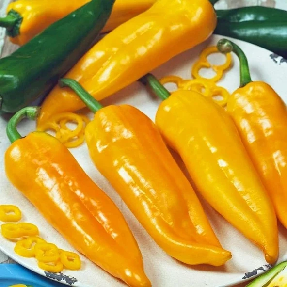 Nadir Tür Corno Di Toro Giallo Sarı İtalyan Kapya Biber Tohumu (10 Tohum) ürün görseli