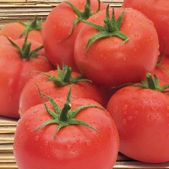Doğal İnce Kabul Etli 2274 Domates Tohumu (50 Tohum) ürün görseli 1