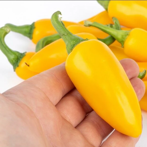 Yellow Jalapeno Çok Acı Biber Tohumu (15 Tohum) ürün görseli 1
