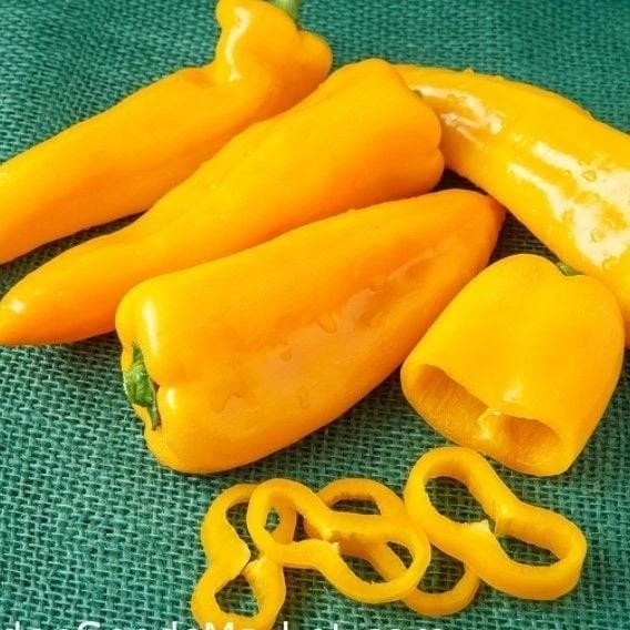 Nadir Ata Tohumu Geleneksel Acı Yellow Jalapeno Biber Tohumu (10 Tohum) ürün görseli 1