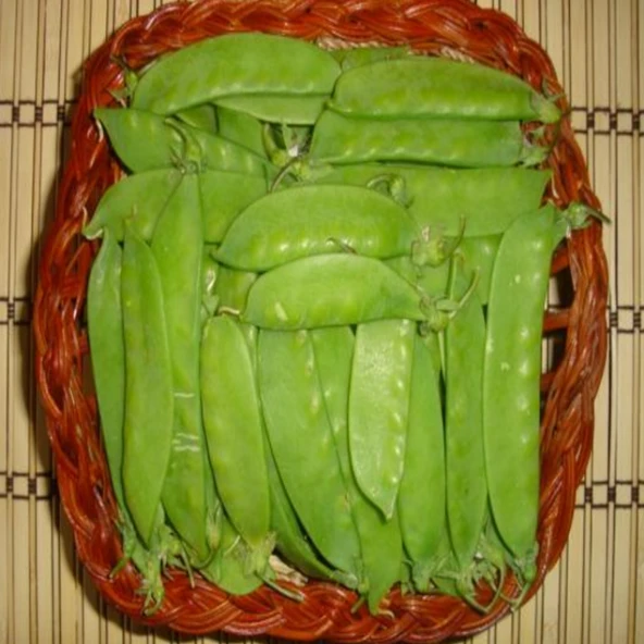 Ata Tohumu Geleneksel Yaprak Bezelye Tohumu (20 Tohum) ürün görseli 1