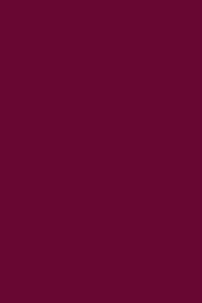 Flormar Ruj - Prime'N Lips Lipstick Red Violet - 4
