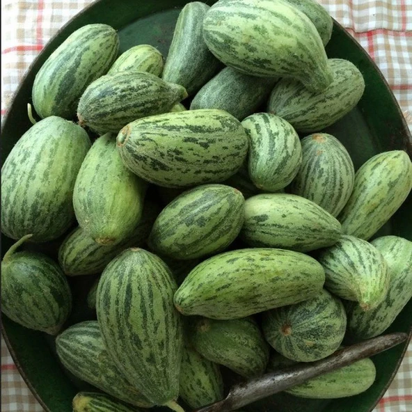 Doğal Anadolu Badem Acur Tohumu (20 Tohum) ürün görseli 1