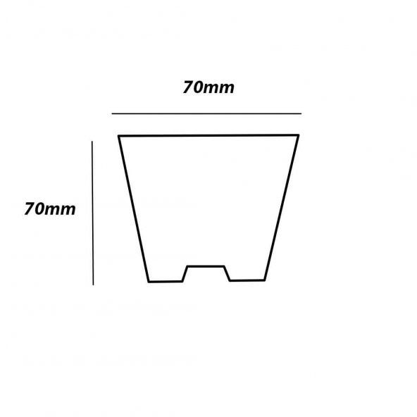 24 Göz Viyol (10 Adet) FİDE YETİŞTİRME VİYOLÜ FİDAN YETİŞTİRME KABI ÇİLEK SEBZE MEYVE SÜS BİTKİSİ SKULENT FİDELİK - Resim 3