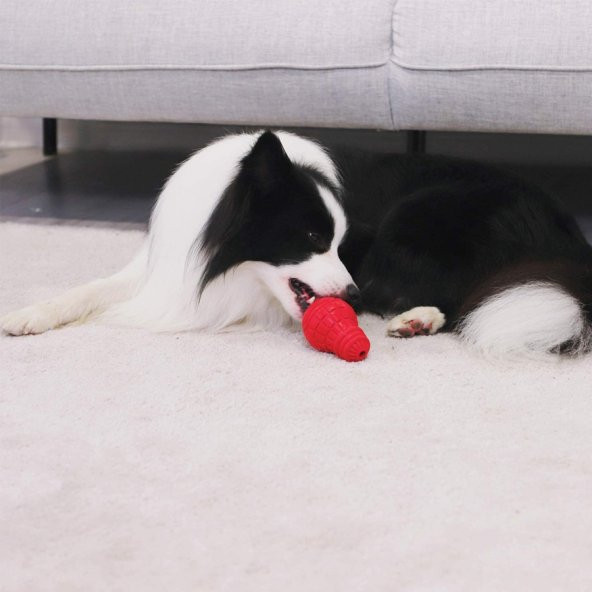 8489 Ampul Şekilli Diş Kaşıma Oyuncak - 2