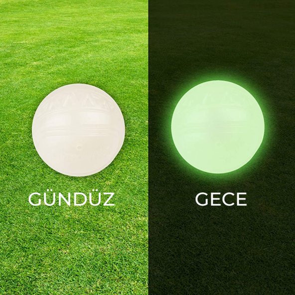 3019 Skipdawg Neon Köpek Oyun Topu - 5