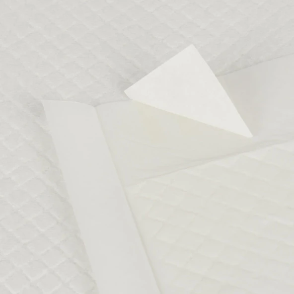 Köpek Tuv.Eğitim Pedi 60x90 cm 20+4 Free - 5