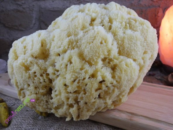 İpek Naturel Deniz Süngeri - 2