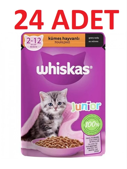 Whiskas Junior Kümes Hayvanlı Yavru Kedi Pouch Konserve Maması 85 Gr x 24 Adet ürün görseli