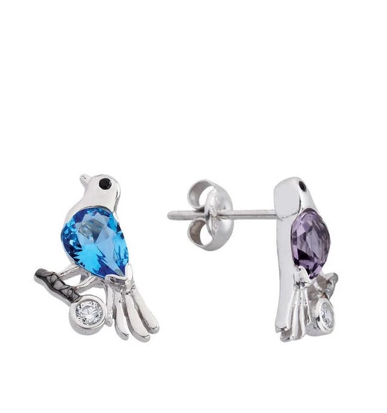 Renkli Kuşlar Gümüş Küpe GMS2097 ürün görseli