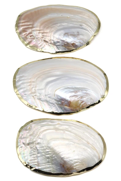 Kenarları Gold Kaplamalı İstiridye Doğal Taş Kabuk - 3