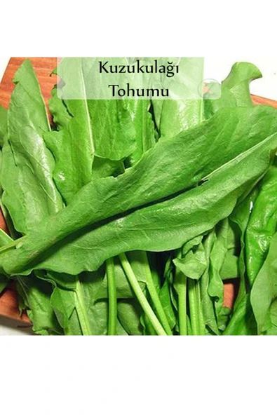 Ekşi Otu Tohumu Kuzukulağı Tohumu 1 Paket (1gr) Kuzu Kulağı Ekşimen Otu Tohumu