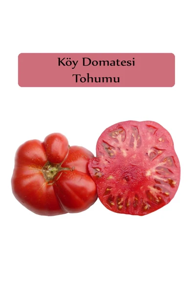 Köy Domatesi Tohumu 1 Paket (3gr=850+ Adet) Domates Tohumu - 2