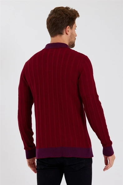 Tarz Cool Erkek Bordo Polo Yaka Desenli Çizgili Triko - 3