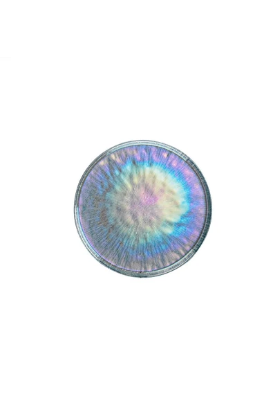 Fecra Bella 6'Lı Pasta Tabağı Seti 21 Cm Asorti - 3