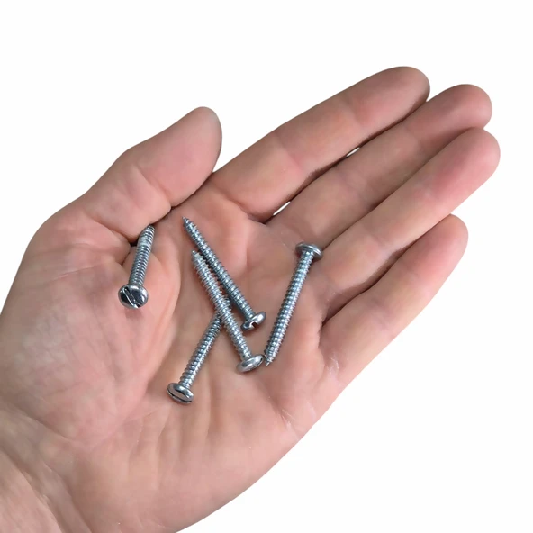 4.8x38mm Silindir Düz Tornavida Başlı Sivri Uçlu Vida Ysb Sac Vidası -100 adet - 2