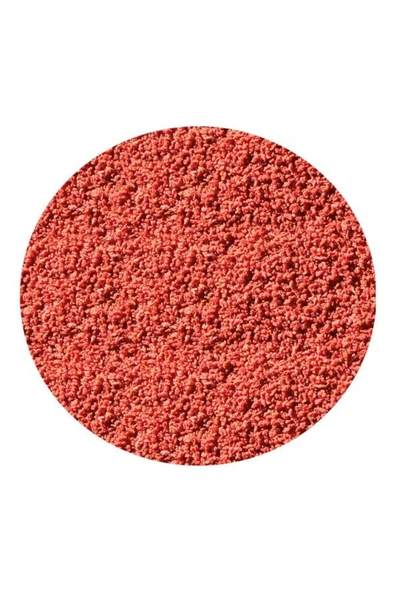 Sera Bettagran Beta Balık Yemi 5 gr - 2