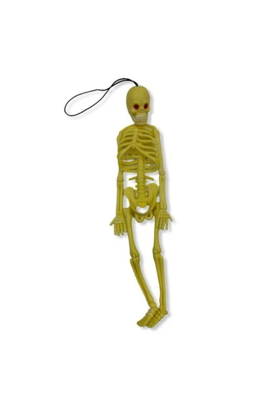 Plastik Iskelet Modeli
