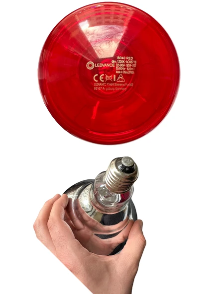 Osram Ledvance 150W (Kırmızı Işık) İnfrared Isıtıcılı Lamba E27 Duylu (Kalın Duy) - Resim 4