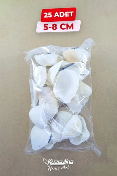Nikah Şekerine Özel Doğal Deniz Kabuğu 25 ADET 5-8 Cm - 2