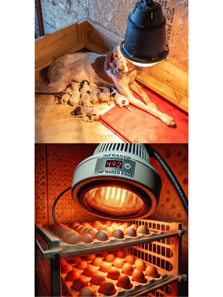 (5 Adet) 150W Kızılötesi (infrared) Isıtıcılı Hayvan Isıtma ve Kuluçka Lambası (Kırmızı Işık) E27 (Kalın Duy) - 5