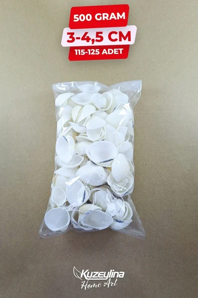 Deniz Kabuğu 500 gr Paket Clam Rose Cochles -orta - 4