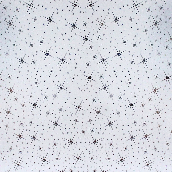 Asma Tavan Pvc Panel Yıldız 60x60 20 Adet