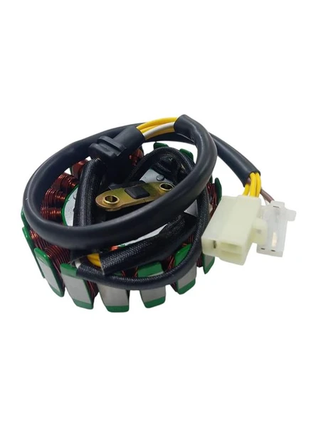 Apache 200 Statör Komple Oem - Resim 3