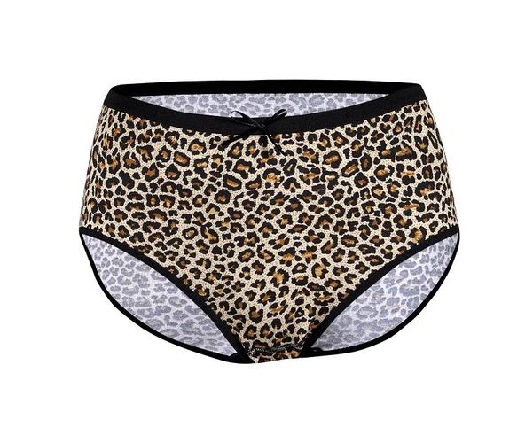 6 Adet Yıldız Bayan Likralı Leopar Desenli Yüksek Bel Külot 3816 ürün görseli