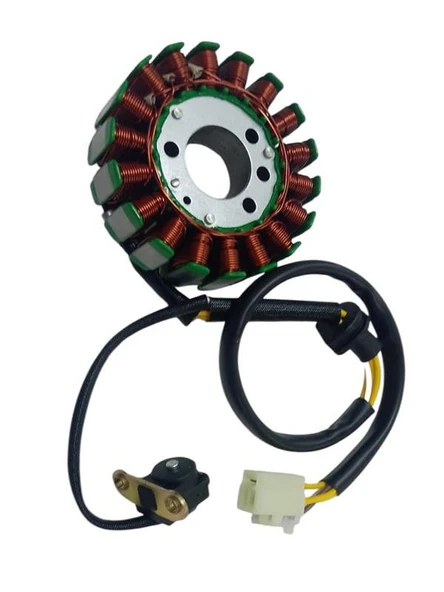 Apache 200 Statör Komple Oem - Resim 5